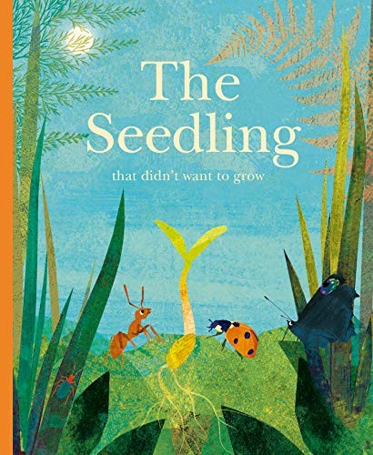 Book cover of SEEDLING THAT DIDN'T WANT TO GROW