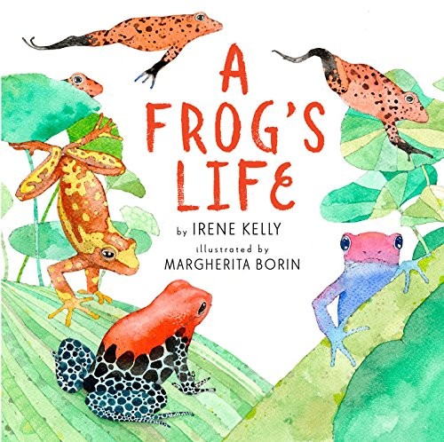 Book cover of FROG'S LIFE