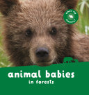 Book cover of ANIMAL BABIES IN FORESTS