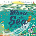 Book cover of WHERE THE SEA MEETS THE SKY