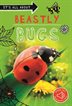 Book cover of IT'S ALL ABOUT BEASTLY BUGS