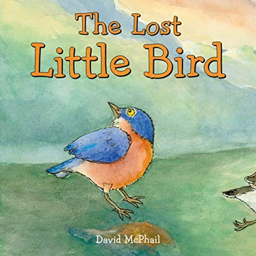 Book cover of LOST LITTLE BIRD