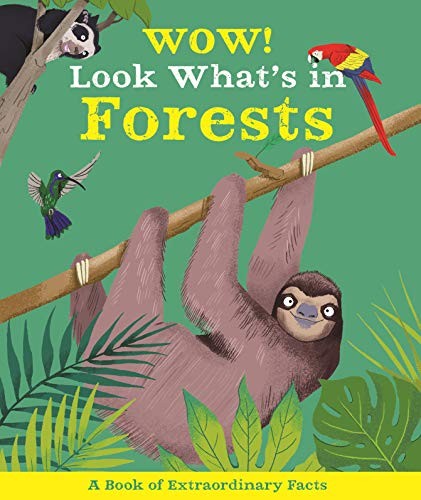 Book cover of WOW LOOK WHATS IN THE FORESTS