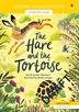 Book cover of HARE & THE TORTOISE