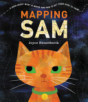 Book cover of MAPPING SAM