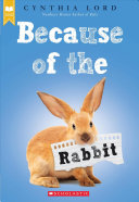 Book cover of BECAUSE OF THE RABBIT