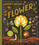 Book cover of WHAT'S INSIDE A FLOWER