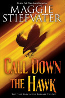 Book cover of DREAMER 01 CALL DOWN THE HAWK