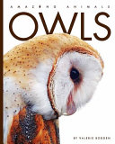Book cover of OWLS