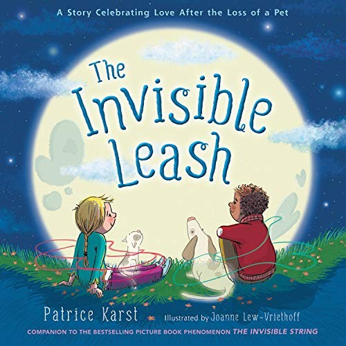 Book cover of INVISIBLE LEASH