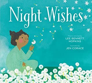 Book cover of NIGHT WISHES