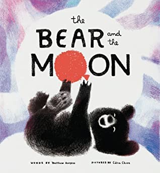Book cover of BEAR & THE MOON