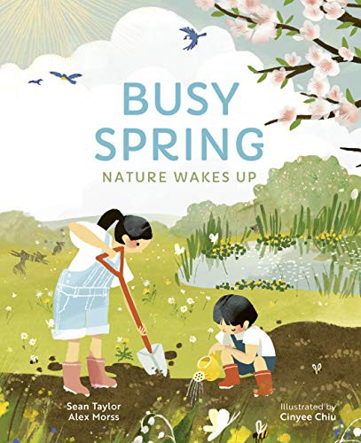 Book cover of BUSY SPRING