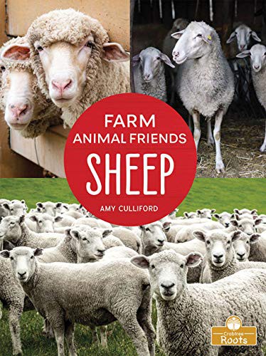 Book cover of SHEEP