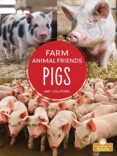 Book cover of PIGS