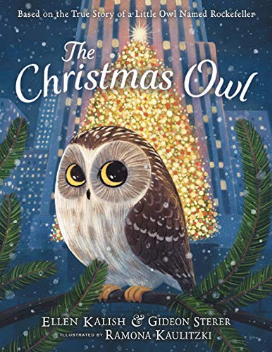 Book cover of CHRISTMAS OWL