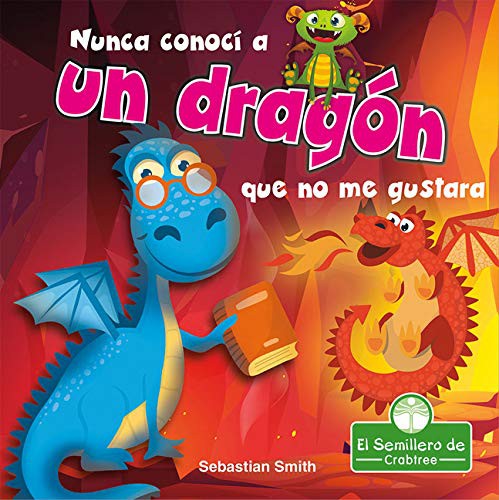 Book cover of NUNCA CONOCI A UN DRAGON QUE NO ME GUSTA