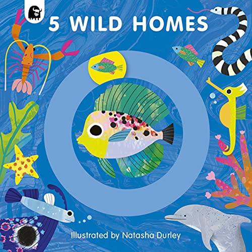 Book cover of 5 WILD HOMES