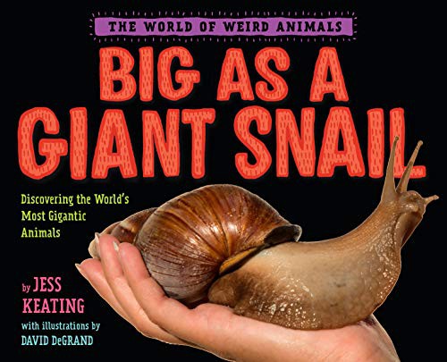 Book cover of BIG AS A GIANT SNAIL