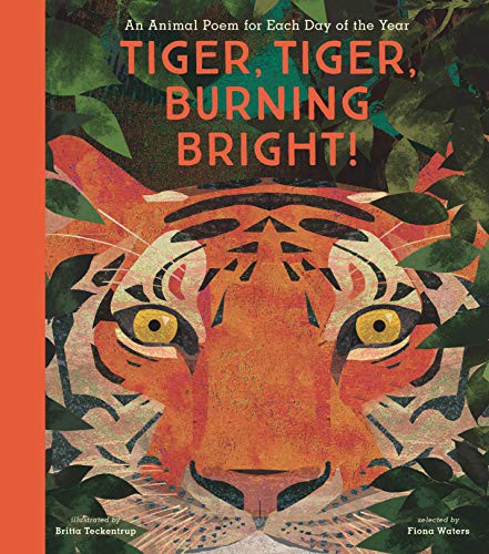 Book cover of TIGER TIGER BURNING BRIGHT