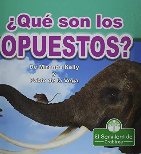Book cover of QUE SON LOS OPUESTOS