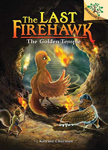Book cover of LAST FIREHAWK 10 THE SECRET MAZE
