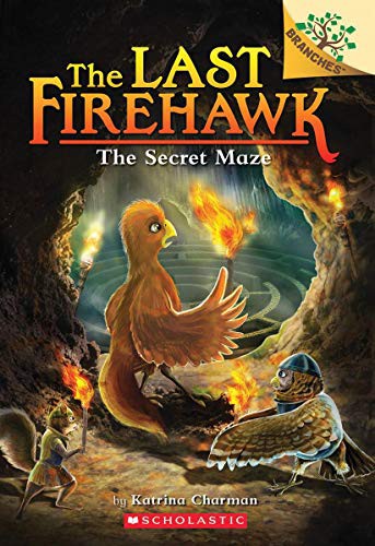 Book cover of LAST FIREHAWK 10 THE SECRET MAZE