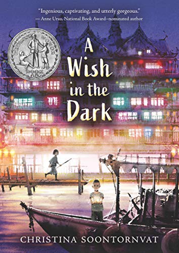 Book cover of WISH IN THE DARK