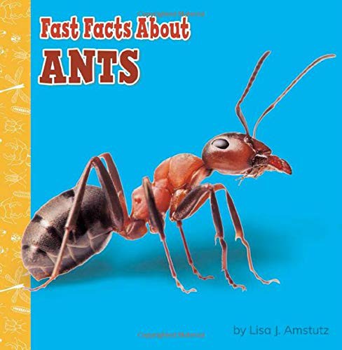 Book cover of FAST FACTS ABOUT ANTS