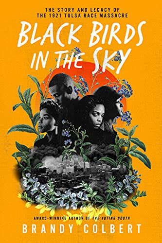 Book cover of BLACK BIRDS IN THE SKY
