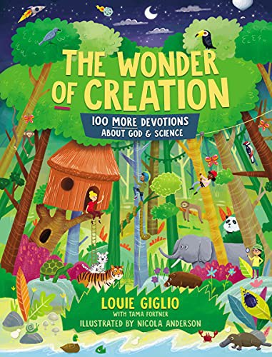 Book cover of WONDER OF CREATION