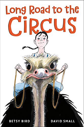 Book cover of LONG ROAD TO THE CIRCUS