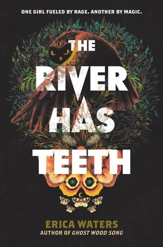 Book cover of RIVER HAS TEETH
