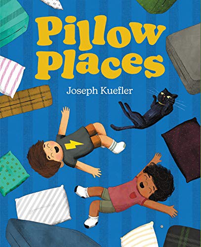 Book cover of PILLOW PLACES