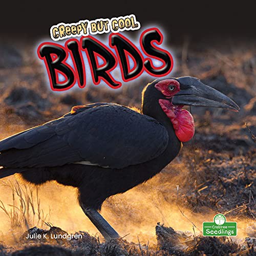 Book cover of CREEPY BUT COOL BIRDS