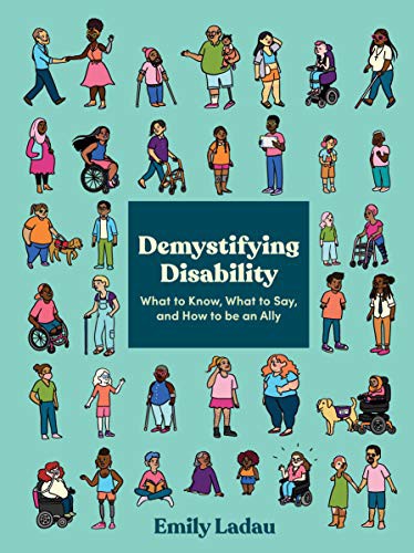 Book cover of DEMYSTIFYING DISABILITY