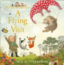 Book cover of FLYING VISIT