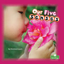 Book cover of OUR 5 SENSES