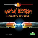 Book cover of EVERYDAY ELECTRICITY SHOCKING BUT TRUE