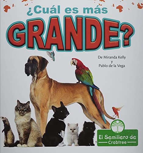 Book cover of CUAL ES MAS GRANDE