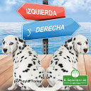 Book cover of IZQUIERDA Y DERECHA