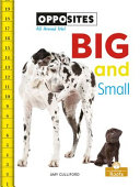 Book cover of BIG & SMALL