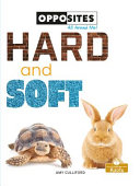 Book cover of HARD & SOFT