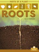 Book cover of ROOTS