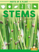 Book cover of STEMS