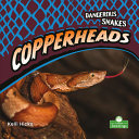 Book cover of COPPERHEADS