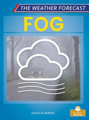 Book cover of FOG