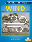 Book cover of WIND