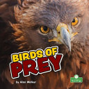 Book cover of BIRDS OF PREY