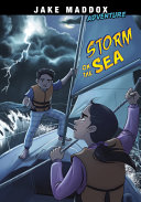 Book cover of STORM ON THE SEA